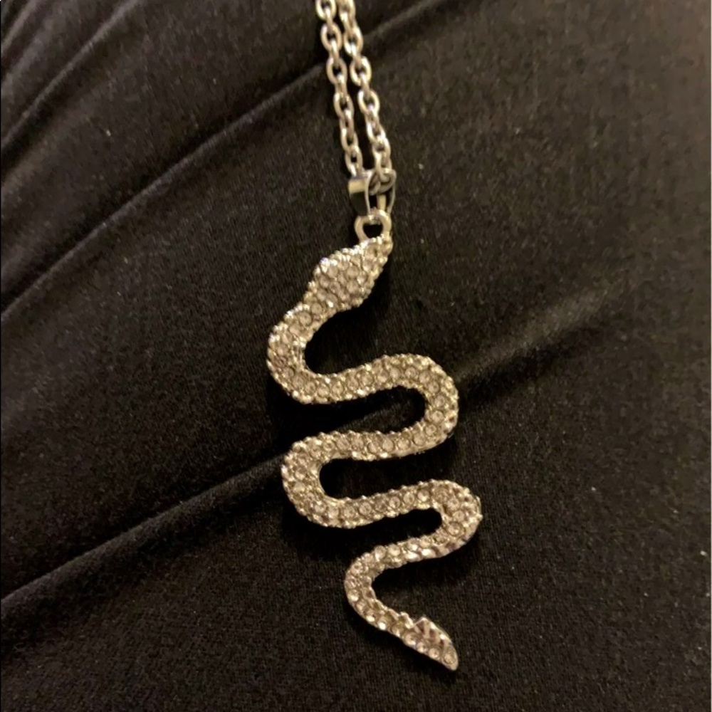Silver snake chain